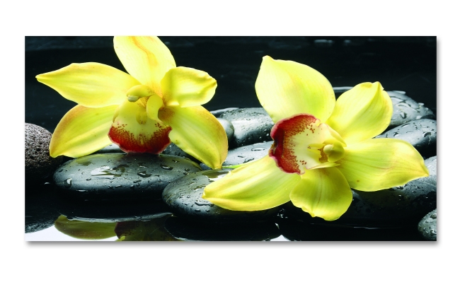 Spritzschutz Küche Gelbe Orchideen