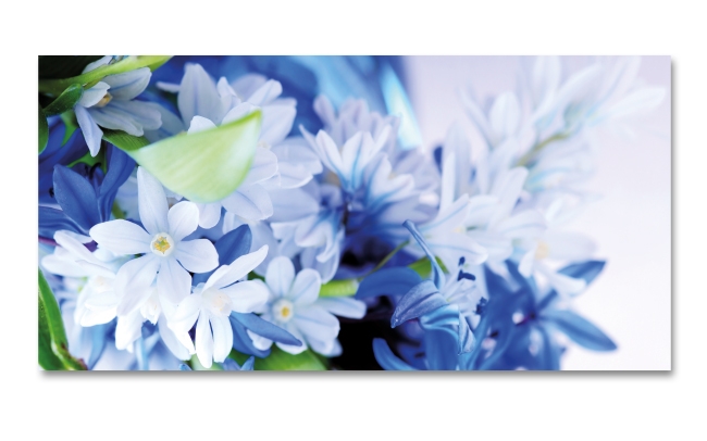 Spritzschutz Küche Blaue Blumen