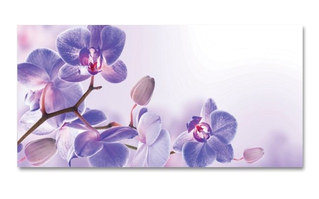 Spritzschutz Küche Lila Orchidee