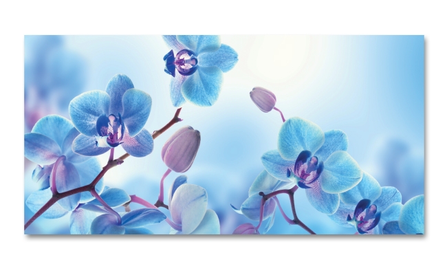Spritzschutz Küche Blaue Orchidee