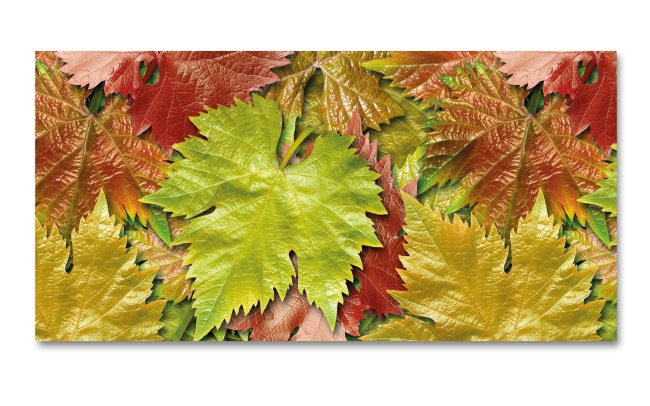 Spritzschutz Küche Herbstblätter