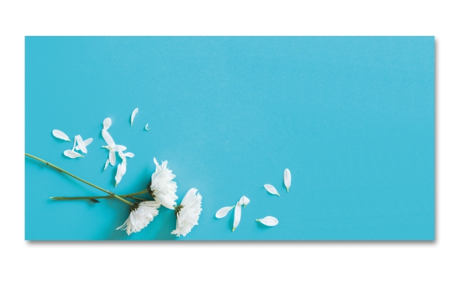 Spritzschutz Küche Blau Weiße Blüten