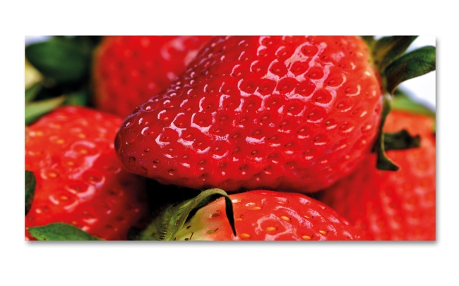 Spritzschutz Küche Makro Erdbeere