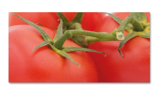Spritzschutz Küche Tomaten