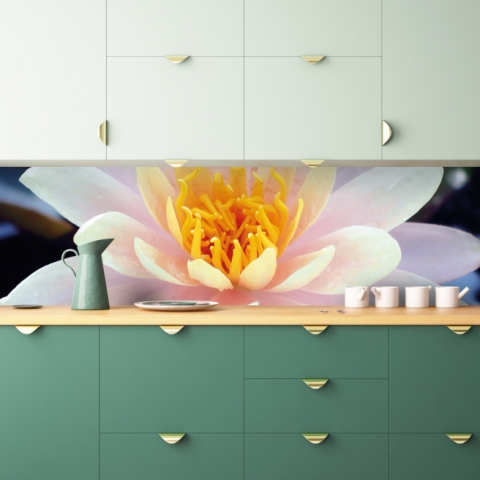 Spritzschutz Küche Lotosblume