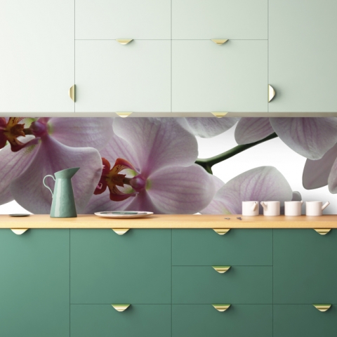 Spritzschutz Küche Wilde Orchideen