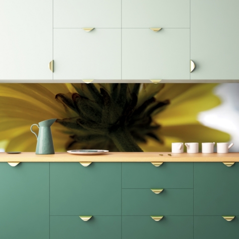Spritzschutz Küche Makro Blume