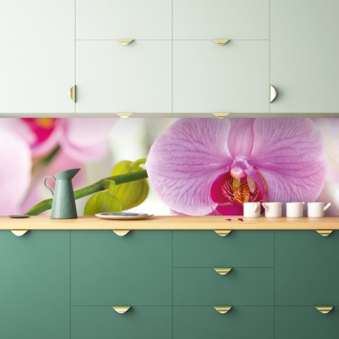 Spritzschutz Küche Farbige Orchidee
