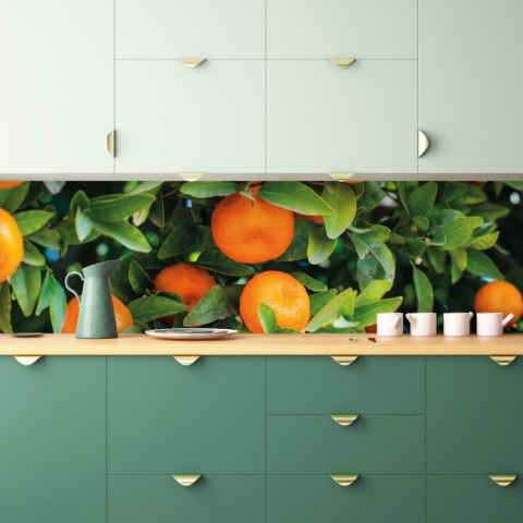 Spritzschutz Küche Orangenbaum