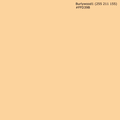 Spritzschutz Küche Burlywood1 (255 211 155) #FFD39B