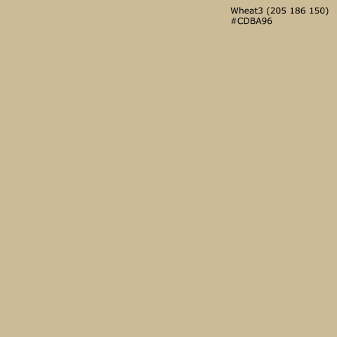 Spritzschutz Küche Wheat3 (205 186 150) #CDBA96