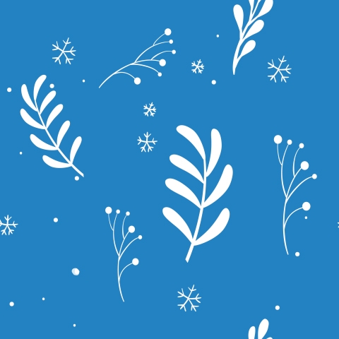 Spritzschutz Küche Blaue Schneepflanzen