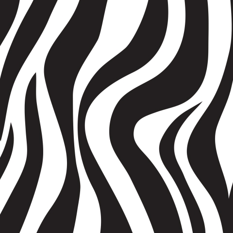 Spritzschutz Küche Zebra Muster