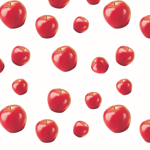 Spritzschutz Küche Rote Apfel Muster