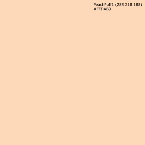 Türposter PeachPuff1 (255 218 185) #FFDAB9