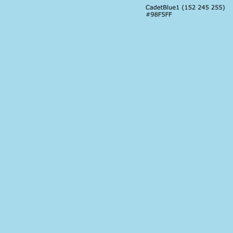 Türposter CadetBlue1 (152 245 255) #98F5FF