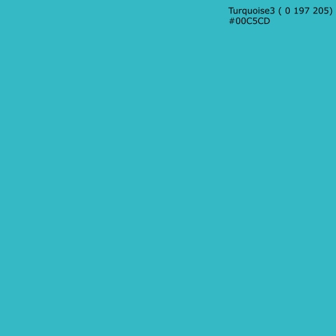 Türposter Turquoise3 ( 0 197 205) #00C5CD