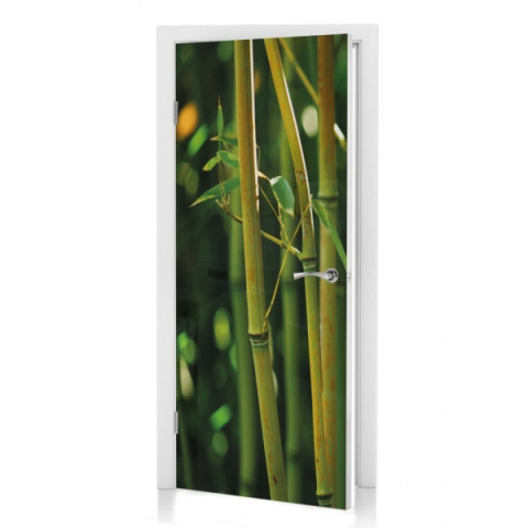 Türposter Bambus