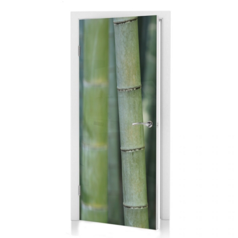 Türposter Green Bamboo