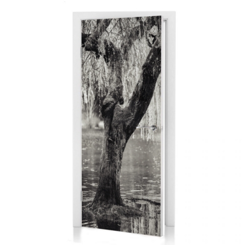 Türposter Monochrome Baum