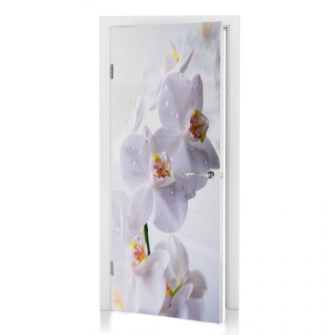 Türposter Orchideenblüten