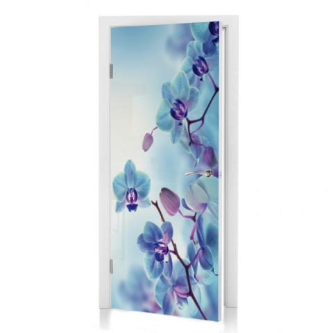 Türposter Blaue Orchideen
