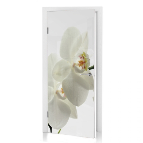 Türposter Orchideenblüte