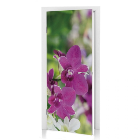 Türposter Orchideen