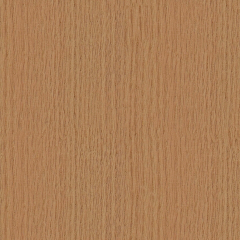 Türposter Holzplatte Ulme