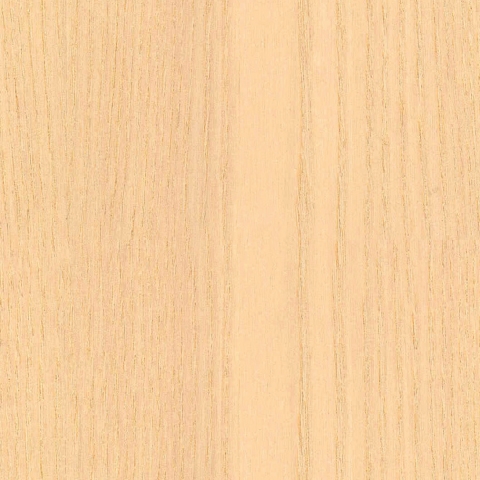 Türposter Holzplatte Esche