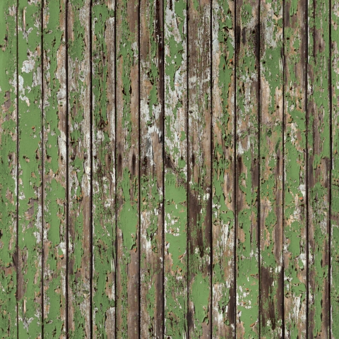 Türposter Schäbiges Grün Holz