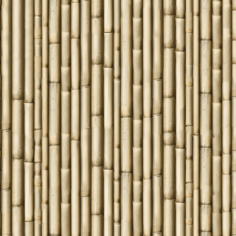 Türposter Bambusholz