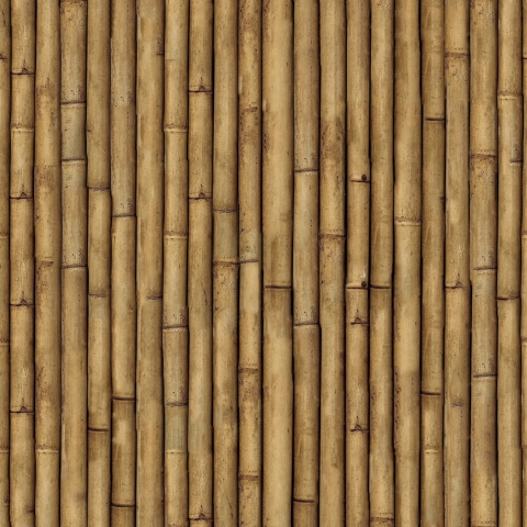 Türposter Bambus Optik