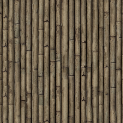 Türposter Dark Bamboo