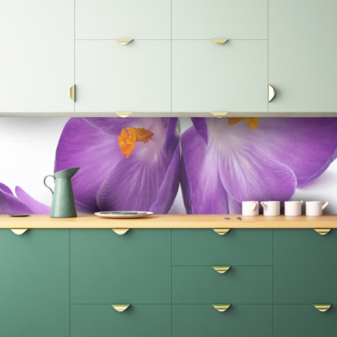 Küchenrückwand Krokusse Blumen