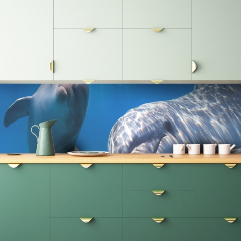Küchenrückwand Delphine Ozean