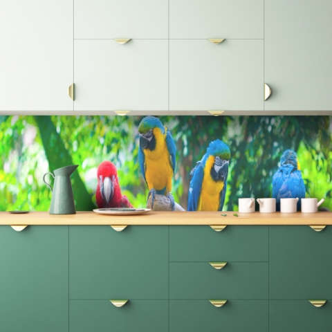 Küchenrückwand Papageien