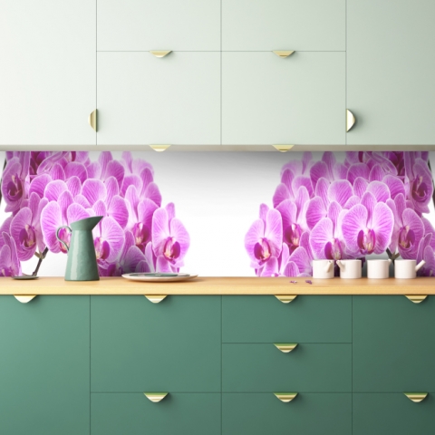 Küchenrückwand Prachtvolle Orchidee
