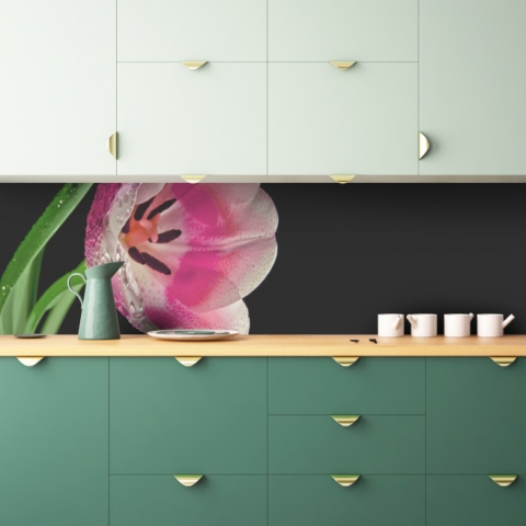 Küchenrückwand Makro Tulpe