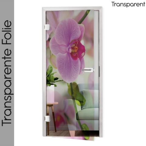 folie für glastür Wilde Orchidee nach maß