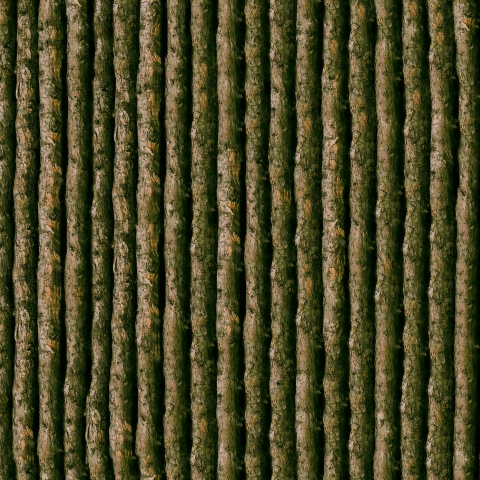 Glastür Folie Baumstamm Holz