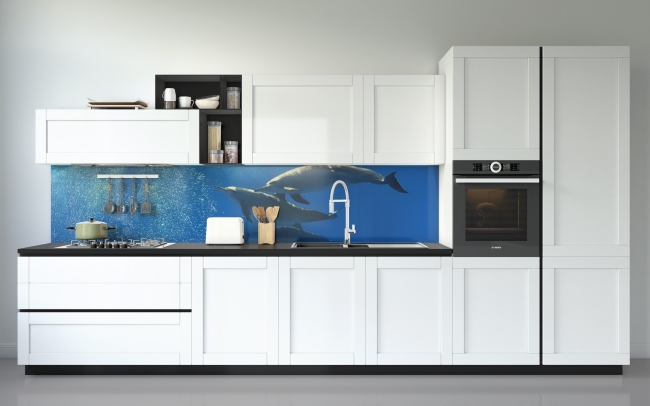 Küchenrückwand Delfine im Meer