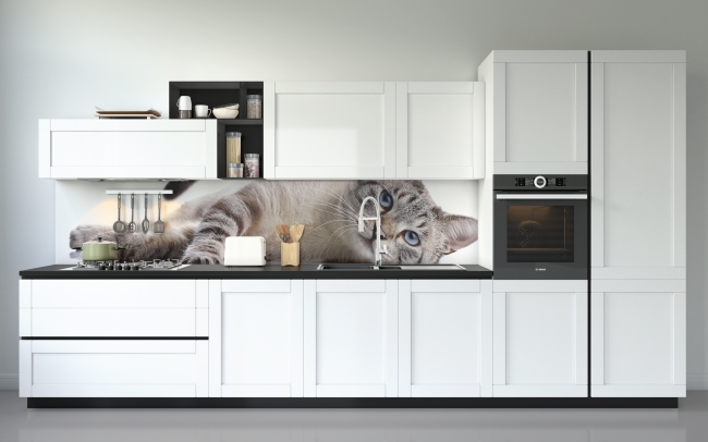 Küchenrückwand Katze