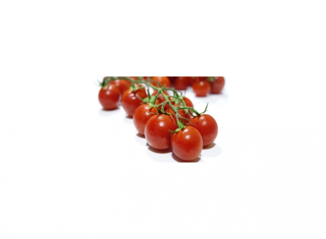Küchenrückwand Frische Tomaten