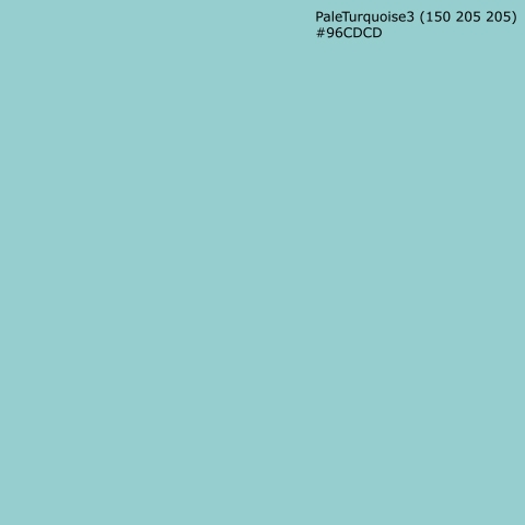 Küchenrückwand PaleTurquoise3 (150 205 205) #96CDCD