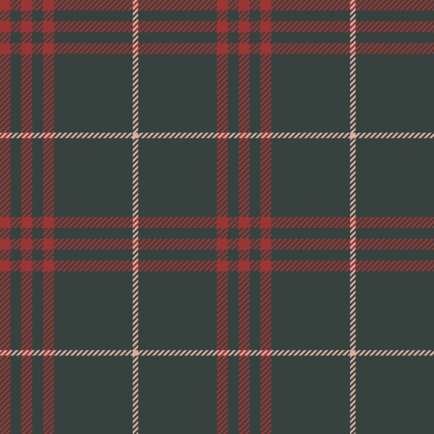 Küchenrückwand Rapport Tartan