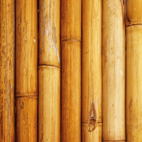 Küchenrückwand Natur Bambus