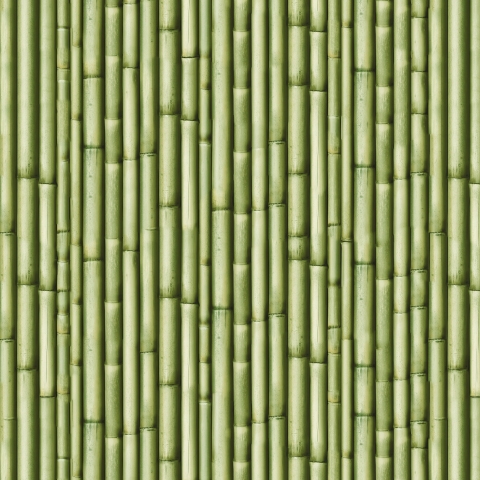 Küchenrückwand Grüner Bambus