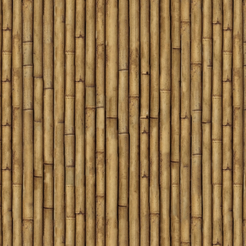 Küchenrückwand Bambusrohr