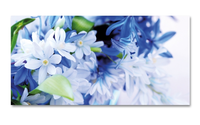 Spritzschutz Küche Blaue Blumen